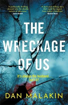 Book cover for The Wreckage of Us