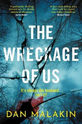 Cover of The Wreckage of Us