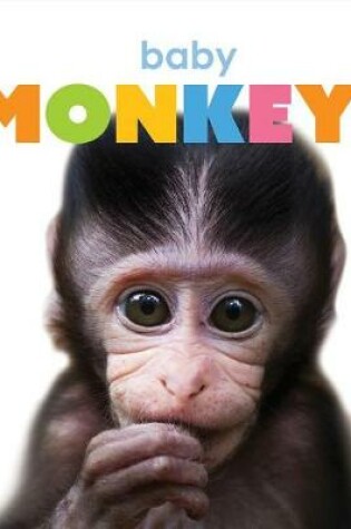 Cover of Baby Monkeys
