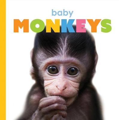 Book cover for Baby Monkeys