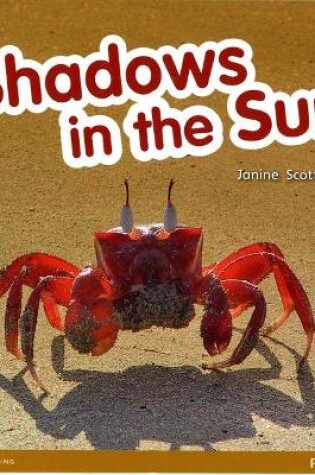 Cover of Bug Club Guided Non Fiction Reception Red C Shadows in the Sun