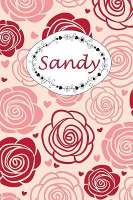 Book cover for Sandy
