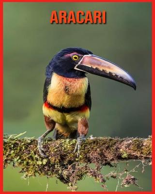 Book cover for Aracari