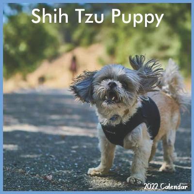 Book cover for Shih Tzu Puppy Calendar 2022