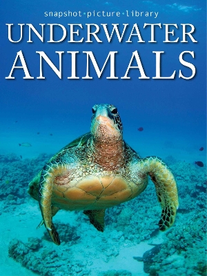 Book cover for Underwater Animals