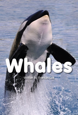 Cover of Whales