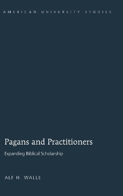 Book cover for Pagans and Practitioners
