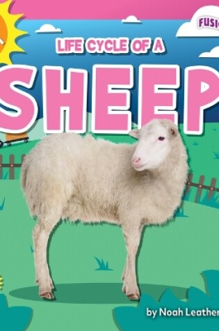 Cover of Life Cycle of a Sheep