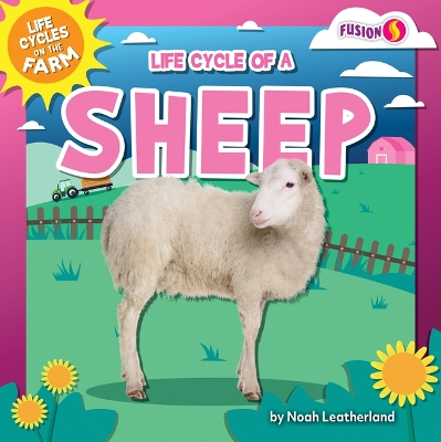 Book cover for Life Cycle of a Sheep