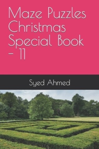 Cover of Maze Puzzles Christmas Special Book - 11