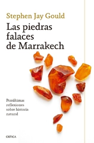 Cover of Las Piedras Falaces de Marrakech: Penúltimas Reflexiones Sobre Historia Natural / The Lying Stones of Marrakech