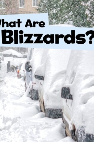 Cover of What Are Blizzards?