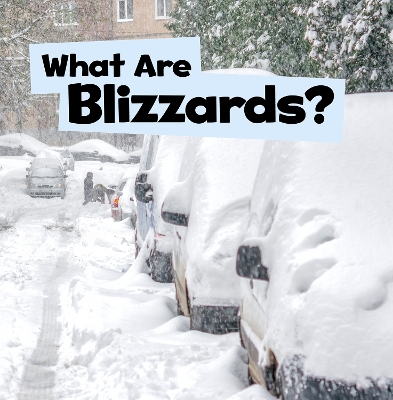 Book cover for What Are Blizzards?