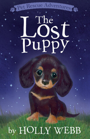 Cover of The Lost Puppy