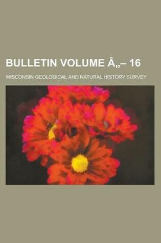 Cover of Bulletin Volume a 16