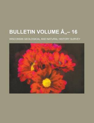 Book cover for Bulletin Volume a 16