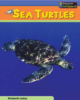 Cover of Sea Creatures: Sea Turtles Cased