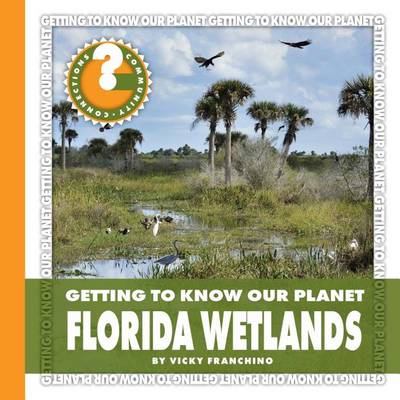 Book cover for Florida Wetlands