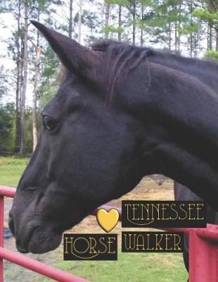 Book cover for Tennessee Walker Horses
