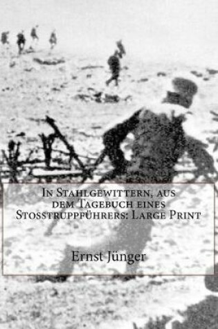 Cover of In Stahlgewittern, Aus Dem Tagebuch Eines Sto truppf hrers