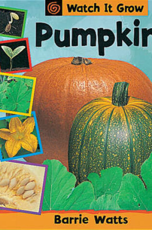 Cover of Pumpkin