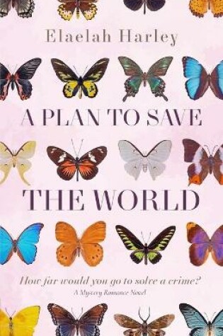 Cover of A Plan to Save the World