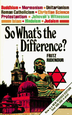 Book cover for So What's the Difference?