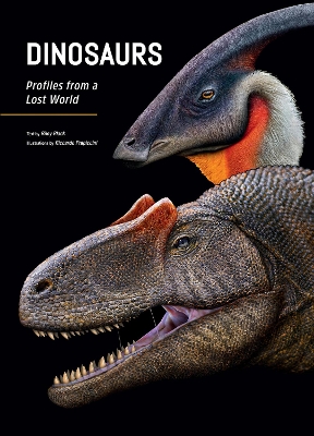 Book cover for Dinosaurs