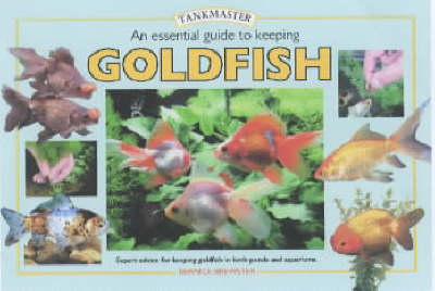 Cover of An Essential Guide to Keeping Goldfish
