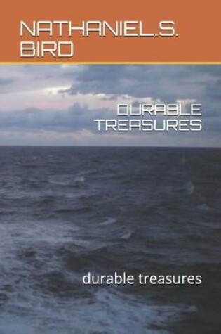 Cover of Durable Treasures