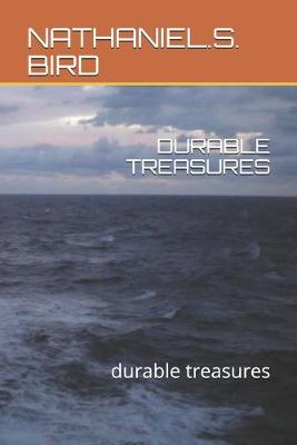 Book cover for Durable Treasures