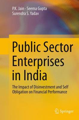 Book cover for Public Sector Enterprises in India