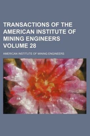 Cover of Transactions of the American Institute of Mining Engineers Volume 28