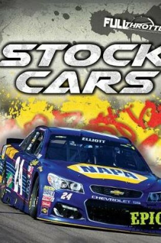 Cover of Stock Cars