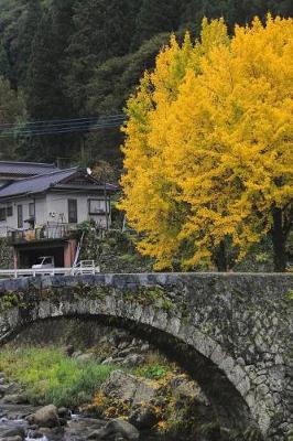 Book cover for Ginkgo Tree in the Japanese Countryside Journal