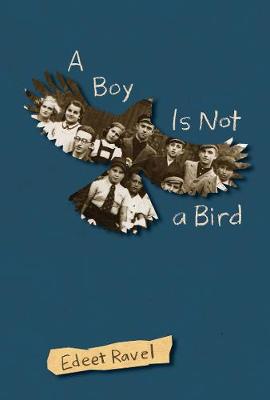 Book cover for A Boy Is Not a Bird