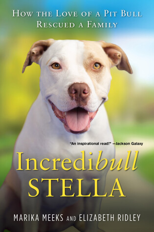 Cover of Incredibull Stella