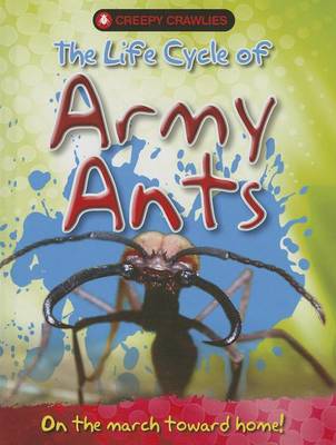Book cover for The Life Cycle of Army Ants