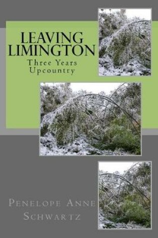 Cover of Leaving Limington