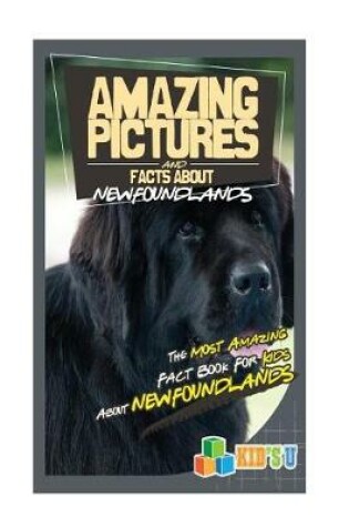 Cover of Amazing Pictures and Facts about Newfoundlands