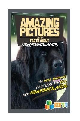 Book cover for Amazing Pictures and Facts about Newfoundlands