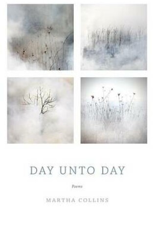 Cover of Day Unto Day