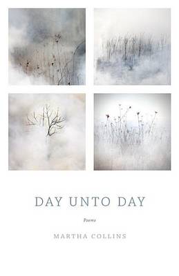 Book cover for Day Unto Day