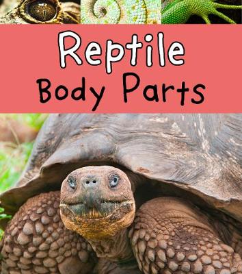 Book cover for Reptile Body Parts