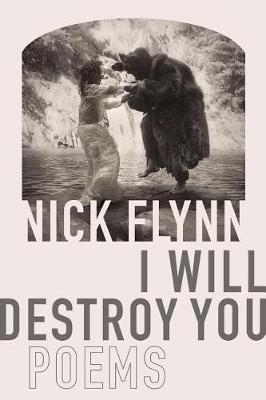 Book cover for I Will Destroy You