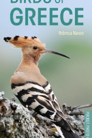 Cover of Birds of Greece