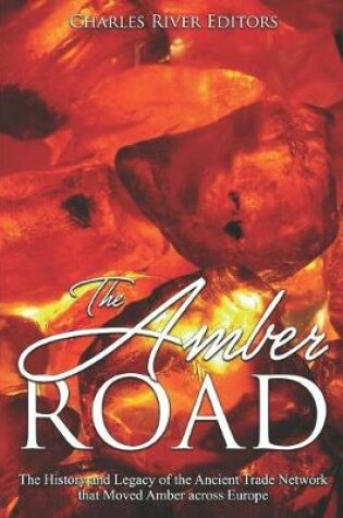 Cover of The Amber Road