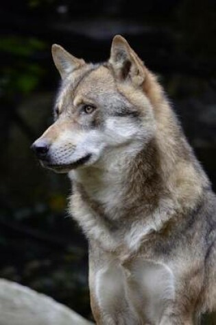 Cover of Website Password Organizer a Wolf Looking Out