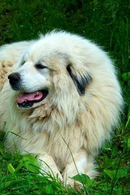 Cover of Great Pyrenees