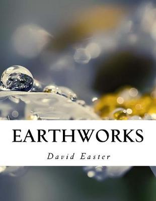 Book cover for Earthworks